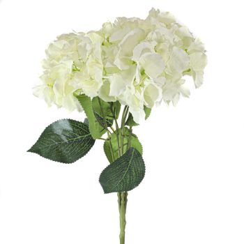 Pick 5 Hortencias Ivory /COD. 200-B35-02