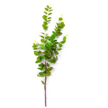 Rama Eucalipto Seda Green /Cod. 200-W3354-40