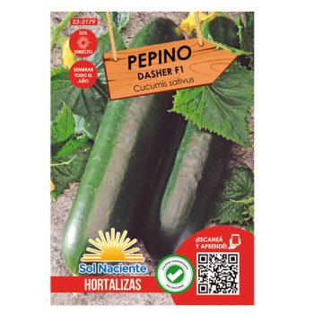 Semilla Pepino Dasher F1 (2179) /Cod. 23-2179