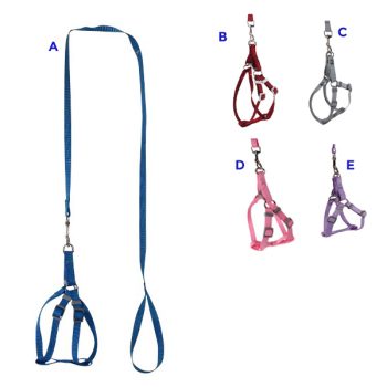 Kit Pechera Y Correa Colores Mixtos S /Cod. 798-Pqlbl064-1