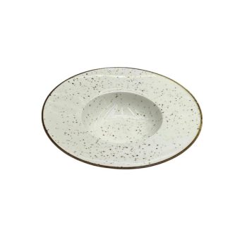 Placa De 9,5" De Profundidad 6 Piezas 24 * 6 Cm 682G Porcelana /COD. 799-CZT18-17