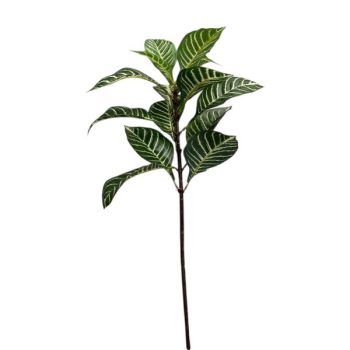 Rama Artificial Tipo Pothos Color Green /Cod. 200-925925-65