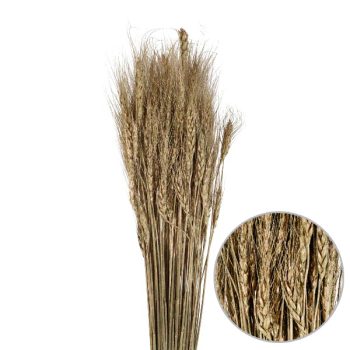 Trigo Seco 150Gm /Cod. 710-11171-70