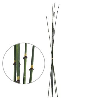Bamboo Artificial 86Cm /Cod. 200-9191-30