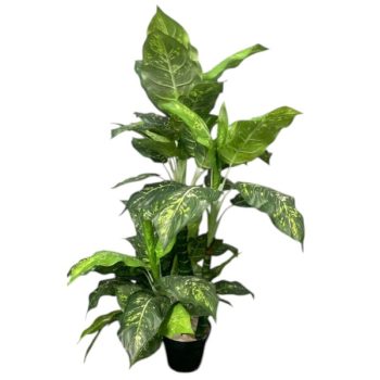 Planta Artificial Tipo Dieffenbachia Color Green Variegadas /cod. 200-925925-18