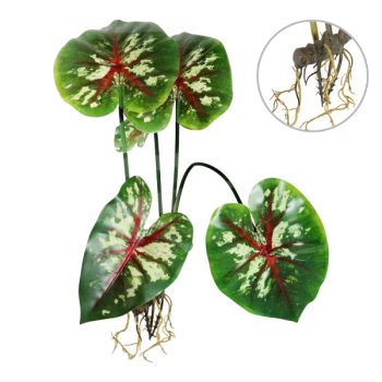 Planta Artificial Tipo Caladium Green Y Raices Decorativas /Cod. 200-925925-63