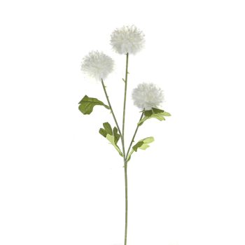 Rama 3 Dalias White /Cod. 200-D183-68