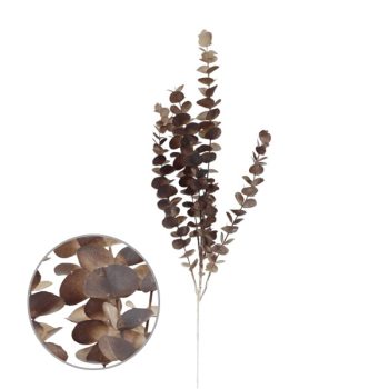 Rama Eucalipto Brown /Cod. 200-S1583-21