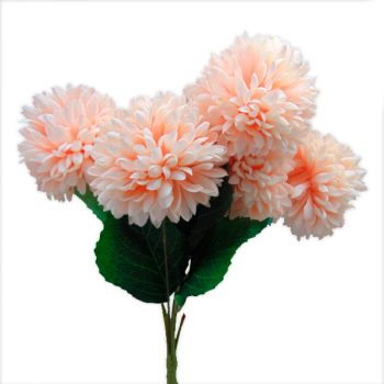 Pick 5 Dalias Peach /Cod. 200-Wp5D-35