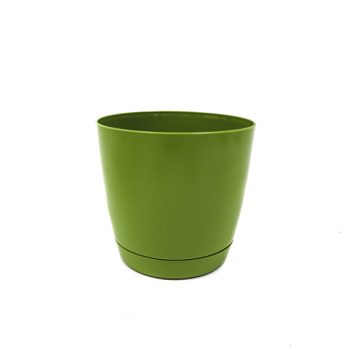 Maceta Peq Redonda C/Plato 12X /Cod. 307-Duop120-Ol