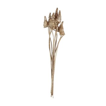 Ramo 10Pcs Cane Cone 45Cm Natural /Cod. 710-10126-00