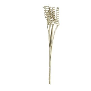 Ramo 10Pcs Cane Cone Spring 45Cm Mud Green /Cod. 710-10127-Min