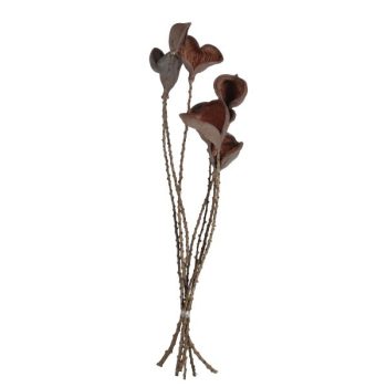 Follaje Seco 7Pcs Altura 60Cm Natural /Cod. 710-10239-00