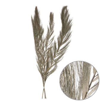 Follaje Seco 5Pcs 90Cm Natural /Cod. 710-10376-00