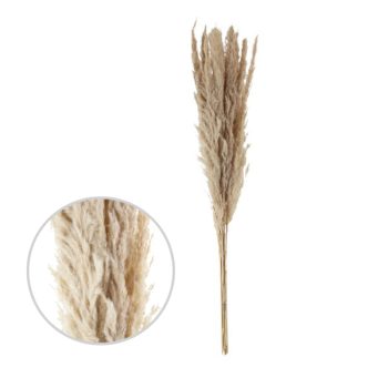 Pampas Wooly 9Pcs 70Cm White /Cod. 710-10395-68