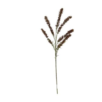 Rama Miniflor Brown 74.00*0.00*0.00Cm /Cod. 76-J5B22015-5