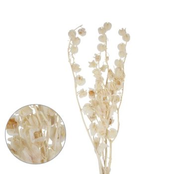 Follaje Seco Hojas Tipo Moneda White 50Cm /Cod. 773-002025-31