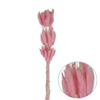 Follaje Seco Flor Suave Redonda Pink 60cm /cod. 773-002025-38