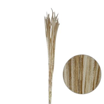 Follaje Seco Ramas Largas Suaves White 60Cm /Cod. 773-002025-42