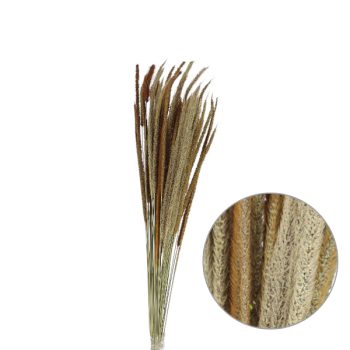 Follaje Seco Ramas Largas Suaves Natural 60Cm /Cod. 773-002025-43