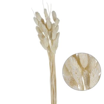 Follaje Seco Vara Espiga Ancha White 60Cm /Cod. 773-002025-44