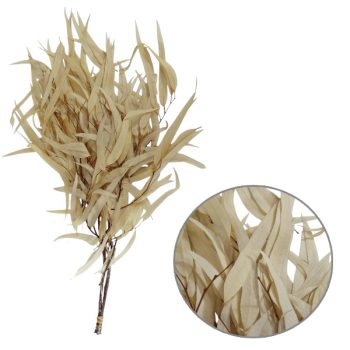 Follaje Seco Rama Hoja Fina Natural White 60Cm /Cod. 773-002025-56