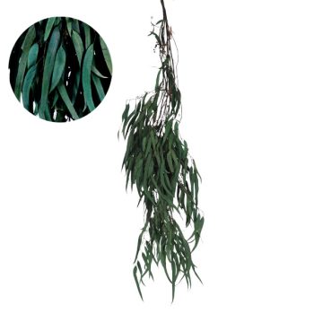 Follaje Seco Rama Green 60Cm /Cod. 773-002025-57A