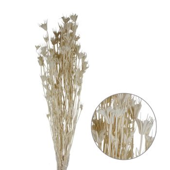 Follaje Seco Ramas Con Flor White 60Cm /Cod. 773-002025-60