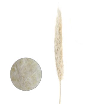 Follaje Seco Ramas Pampas White 140cm /cod. 773-002025-68