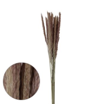 Follaje Seco Ramas Tipo Pampas Delgadas Natural 80Cm /Cod. 773-002025-74