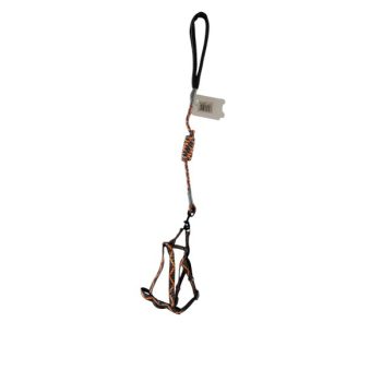 Kit Pechera Y Correa Lineas Colores Mixtos /cod. 798-pqlmy045-1