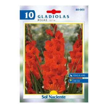 Paquete 10 Bulbos Gladiola Roja 12/14 /Cod. 80-002