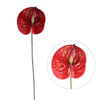 Anturio Grande Red /Cod. 200-0140236-61