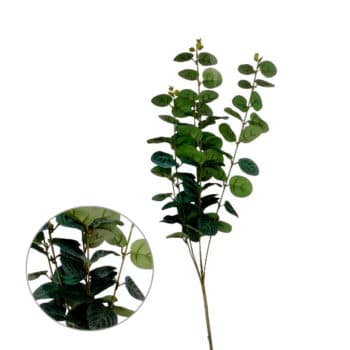 Rama Eucalipto L:85Cm Green /Cod. 200-0047244-63