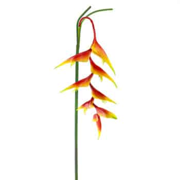 Flor Tropical Colgar Orange /Cod. 200-Sa32M