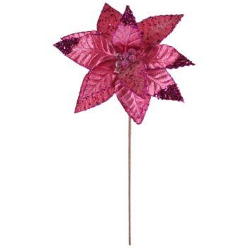 Pastora Pana Grande D:29cm Fushia /cod. 145-223286-55