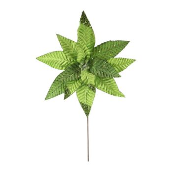 Pastora Pana Super Grande D:43cm Ap.green /cod. 145-223286l-13