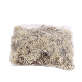 REINDERMOSS NATURAL /COD. 26-363-00