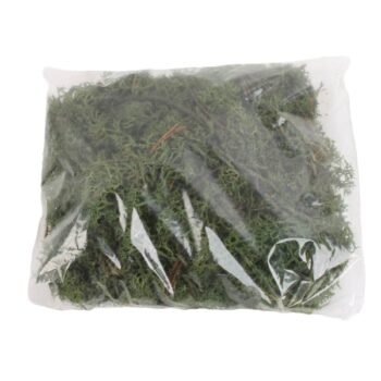 REINDERMOSS MOSS GREEN /COD. 26-363-40