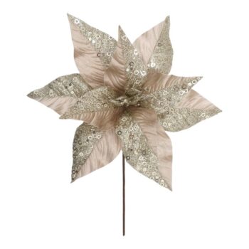 Pastora Pana Dia32xh35cm Champagne /cod. 262-20145l-ch