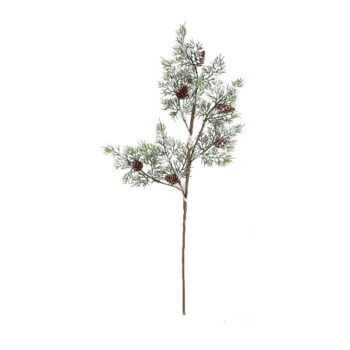 Rama Cipress Con Bellota H: 58cm /cod. 262-23156