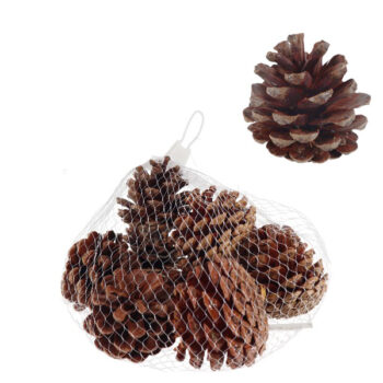 Bolsa 10pcs Bellota 5-7cm Natural /cod. 754-hf23644-00