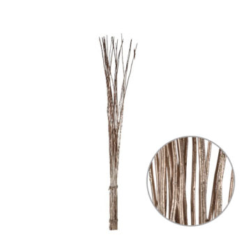 BUNCH NATURAL 90X4CM CHAMPAGNE /COD. 754-HF23904-CH
