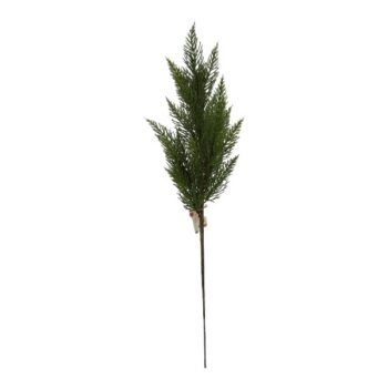 Pick Cipress Dk Green L:70cm