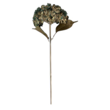 Hortensia 0x0x60cm Xmas Green Metalica